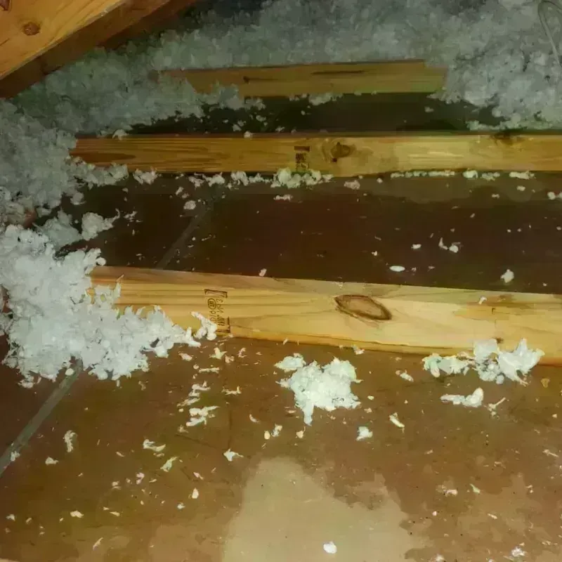 Attic Water Damage in Jasper County, IA