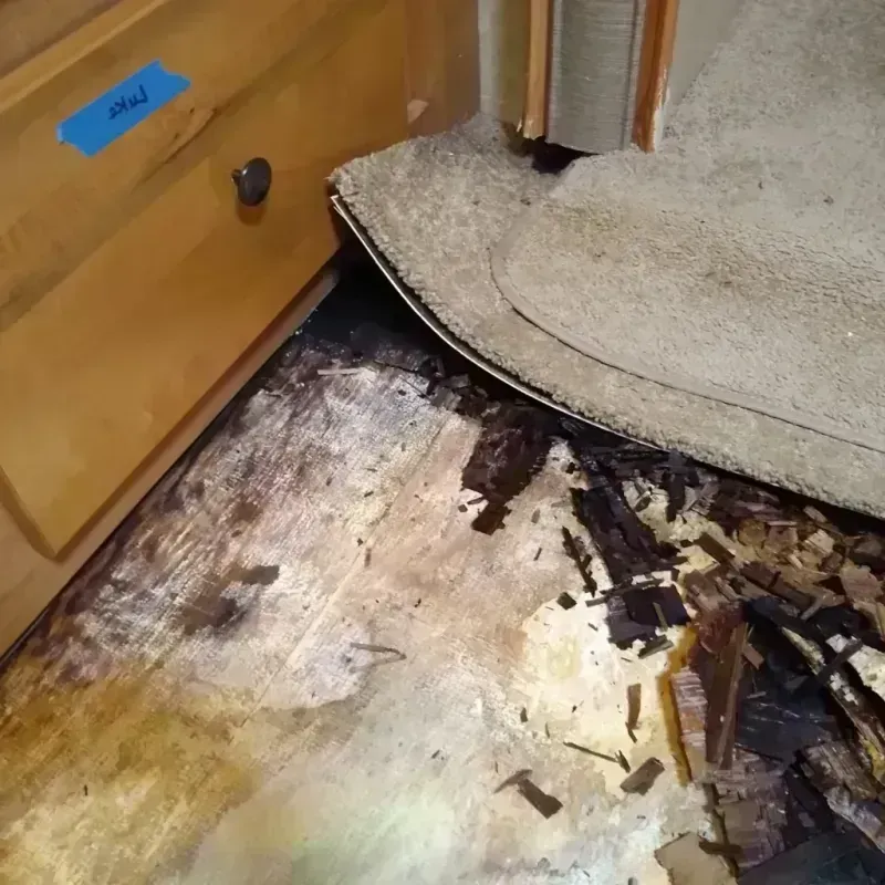 Wood Floor Water Damage in Jasper County, IA